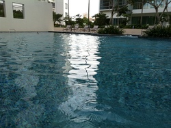Waterfront Waves (D16), Condominium #375548681
